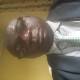 lanreolatunde4@gmail.com's picture